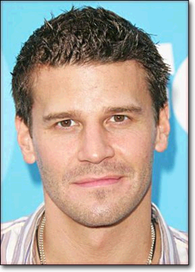 Photo David Boreanaz