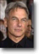 Mark Harmon