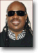 Stevie Wonder